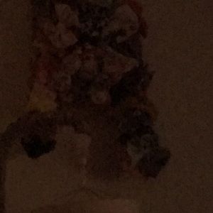 Meet your Posher, Tessa